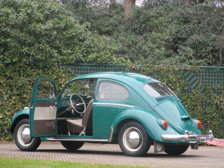 1964 vw beetle type1